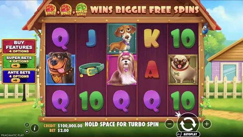 The Big Dog House - pantalla principal con los carretes
